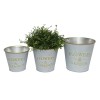 NOUVEAUTÉ: Cache-pot "Flowers & Garden" MM