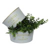 NOUVEAUTÉ: Coupe ronde "Flowers & Garden" GM