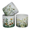 NOUVEAUTÉ: Cache-pot "Fleurs des Champs" Mix 3 motifs TGM