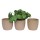 NOUVEAUTÉ: Cache-pot rose Mix 2 décors GM