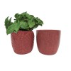 NOUVEAUTÉ: Cache-pot framboise Mix 3 décors GM